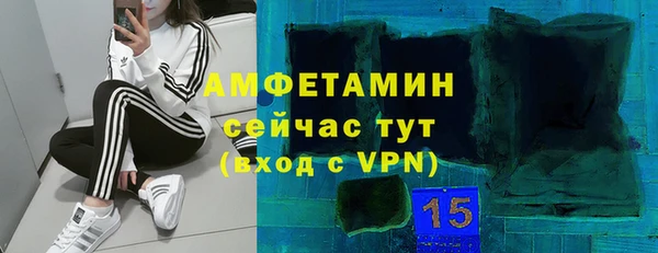 винт Алзамай
