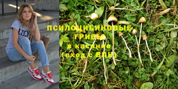 винт Алзамай