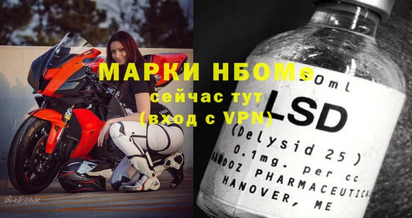 винт Алзамай