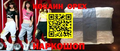 гидропоника Гусев