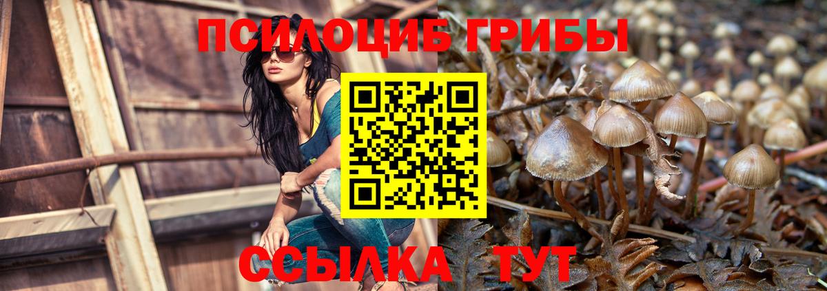Галлюциногенные грибы MAGIC MUSHROOMS  Вход с VPN  Красноярск 